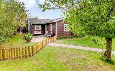 Amina - 500M from the Sea: Busk, Sommerhus, Have, Bunddække, Lawn, Gård, Backyard, Stuehus, Landscaping, Garden Bygninger
