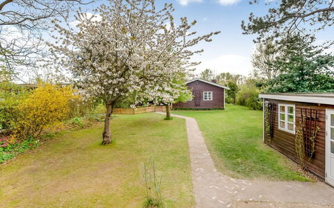 Amina - 500M from the Sea: Busk, Have, Bunddække, Forår, Sommerhus, Lawn, Gård, Landscaping, Parkere, Backyard