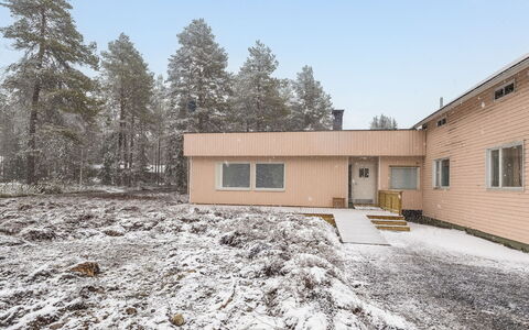 Alatalo: Vinter, Tag, Hjem, Sne, Fryser, Sommerhus, Hældning, Sidespor, Lærk