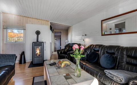 Nisse - 300M from the Sea: Træ, Stue, Loft, Couch, Hårdttræ, Trægulve, Bjælkehytte, Bejdse