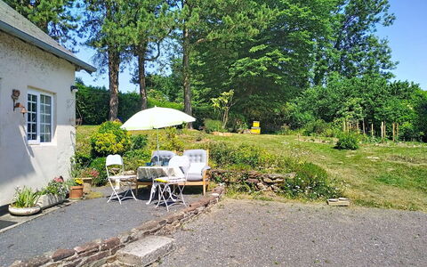 Coin Nature: Busk, Have, Sommerhus, Hus, Lawn, Backyard, Landscaping, Gård, Indkørsel