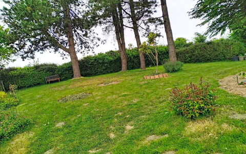 Coin Nature: Møbel, Altan, Skygge, Have, Udendørs Møbler, Stol, Veranda, Gård, Landscaping, Backyard