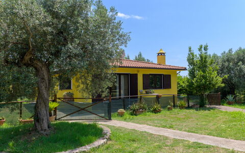 Cottage Girasole di Mare: Busk, Sommerhus, Have, Backyard, Lawn, Estate, Gård, Skygge, Landscaping, Hacienda