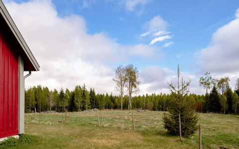 Grönadal: Græs, Træ, Grøn, Naturlige Landskab, Græs-, Land Lot, Almindeligt, Landskab, Landdistrikt