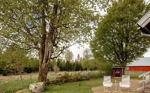 Grönadal: Træ, Blad, Afdeling, Græs, Busk, Land Lot, Have, Lawn, Kvist