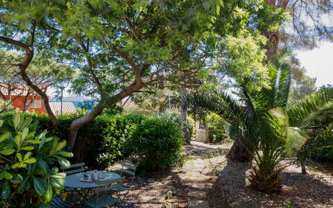Les Minoux: Blad, Vegetationen, Busk, Plantesamfund, Have, Vedplante, Skygge, Landscaping, Gård, Backyard