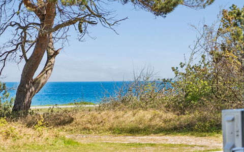 Ilppo - 100M from the Sea: Blå, Hav, Kyst, Coastal Og Oceaniske Landskabsformer, Ocean, Plantesamfund, Kyst, Strand, Eng, Tropics