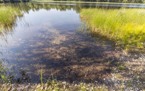 Sevettijärventie 8753: Vand, Naturligt Miljø, Natur, Marsk, Plantesamfund, Afspejling, Bank