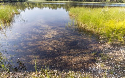 Sevettijärventie 8753