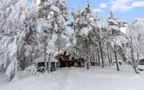 Ohola: Sne, Vinter, Afdeling, Træ, Træ, Kvist, Hus, Sommerhus, Fryser, Hjem