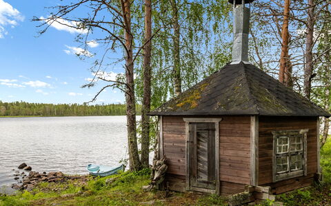 Ohola: Træ, Træ, Landskab, Skov, Landdistrikt, Bank, Hytte, Skur, Bagagerum