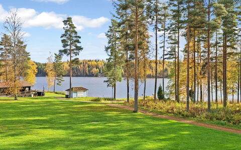 Villa Sinikka 1: Træ, Græs, Grøn, Blad, Naturlige Landskab, Landskab, Land Lot, Bank, Have