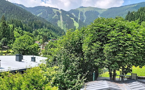 Alpenhit Zell am See: Træ, Bjergrige Landskabsformer, Vegetationen, Bjerg, Bakke, Busk, Highland, Hill Station, Bjergkæde, Kam