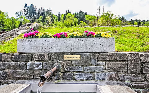 Tschagguns 300: Busk, Have, Stenmur, Landscaping, Water Feature, Walkway, Botanisk Have