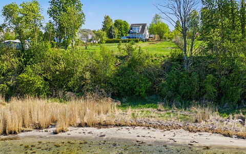 Hjort - 80M from the Sea: Vand, Grøn, Græs, Naturligt Miljø, Vegetationen, Naturlige Landskab, Bank, Græs-, Busk