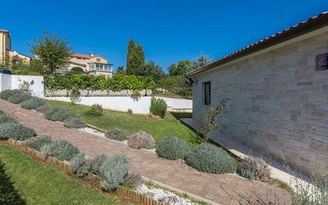 Villa Joy: Træ, Naturligt Miljø, Landskab, Fugleperspektiv, Luftfotografering, Naturlige Landskab, Landdistrikt, Boligområde, Land Lot