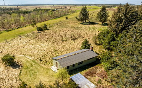 Fatlinda - 4Km from the Sea: Træ, Have, Backyard, Land Lot, Hjem, Tag, Skygge, Dæk, Hårdttræ, Gård