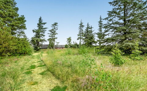 Munibert - 3.8Km from the Sea: Vegetationen, Naturlige Landskab, Busk, Græs-, Plantesamfund, Land Lot, Almindeligt, Eng, Bunddække