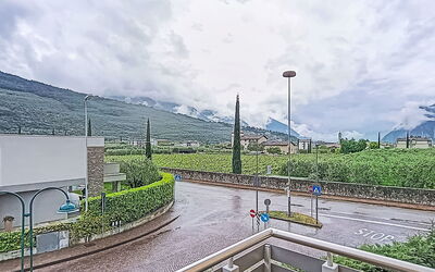 Riva Olive