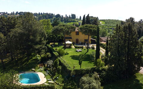 Villa Quintino: Busk, Have, Hjem, Estate, Sommerhus, Landscaping, Lawn, Hacienda, Svømmepøl, Backyard