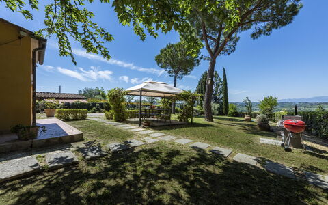 Villa Quintino: Busk, Have, Skygge, Landscaping, Gård, Stol, Flise, Udendørs Møbler, Backyard, Eco Hotel