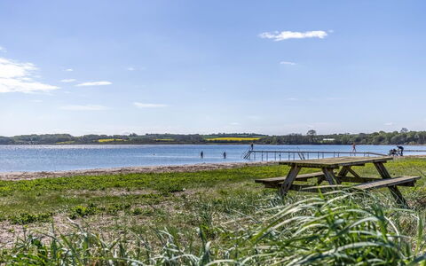 Wrange - 100M to the Fjord: Busk, Hus, Boligområde, Hjem, Have, Skygge, Gård, Gårdsplads, Blomsterkrukke