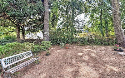 Ploemel 102: Blad, Natur, Afdeling, Vegetationen, Busk, Have, Plantesamfund, Bunddække, Bagagerum, Forår
