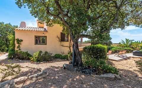 Mare Serena: Busk, Plantesamfund, Have, Skygge, Landscaping, Estate, Gård, Stuehus, Backyard