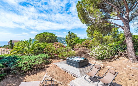 Mare Serena: Busk, Plantesamfund, Have, Landscaping, Udendørs Møbler, Eco Hotel, Tropics