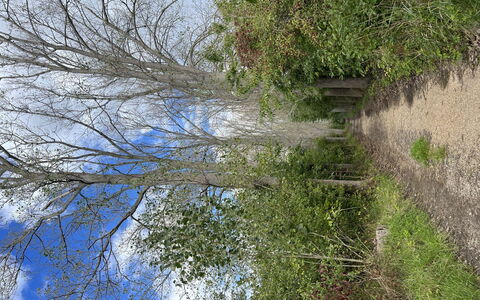 De Witte Parel: Svømmepøl, Udvej, Eco Hotel, Skygge, Hotel, Landscaping, Villa, Ferieby, Altan