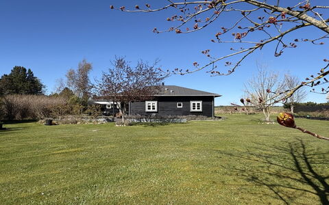 Anelle - 1.2Km to the Fjord: Græs, Bygning, Hus, Hjem, Tag, Sommerhus, Boligområde, Land Lot, Almindeligt, Lawn
