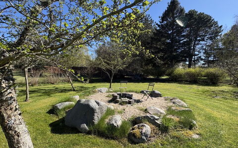 Anelle - 1.2Km to the Fjord: Græs, Rots, Busk, Have, Bunddække, Lawn, Landscaping