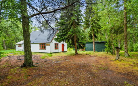 Jooseppi - 4.8Km from the Sea: Træ, Græs, Træ, Sommerhus, Hjem, Land Lot, Landdistrikt, Bagagerum, Woodland, Garden Bygninger
