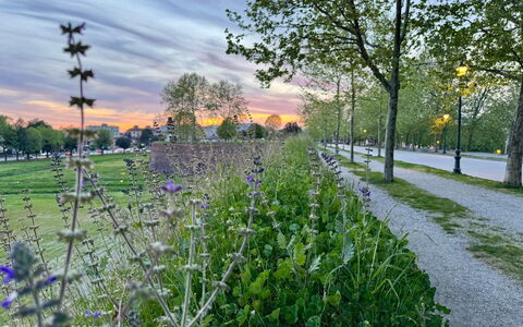 Alla Torre: Himmel, Blå, Daytime, Natur, Sky, Sommer, Busk, Forår, Morgen, Cumulus