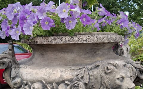 The Mews: Blomst, Blomsterkrukke, Forår, Purple, Have, Stueplante, Blomsterhandlere, Violet, Floral Design