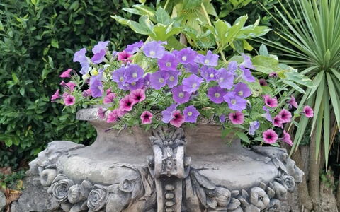 The Mews: Blomst, Have, Blomsterkrukke, Forår, Stueplante, Water Feature, Blomsterhandlere, Lawn Ornament