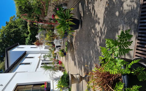 The Mews: Have, Landscaping, Backyard