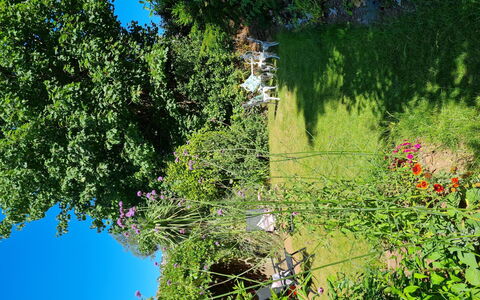 The Mews: Blomst, Grøn, Blad, Vegetationen, Busk, Have, Plantesamfund, Forår, Urteagtig Plante, Wildflower