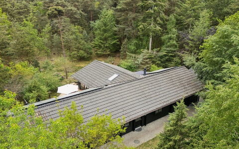 Pertti - 625M from the Sea: Træ, Bank, Sommerhus, Landdistrikt, Sø, Afspejling, Reservoir, Dam