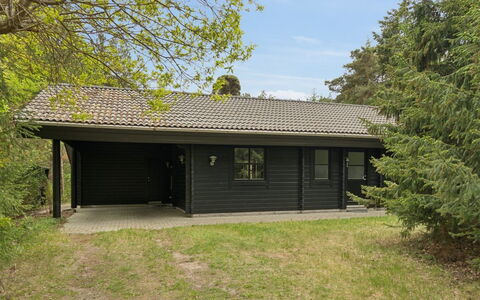 Pertti - 625M from the Sea: Træ, Bank, Sommerhus, Landdistrikt, Sø, Afspejling, Reservoir, Dam