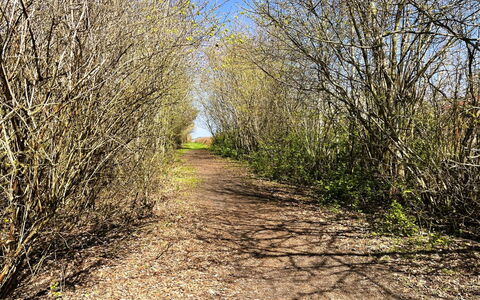Troen - 400M from the Sea: Lejlighed, Ejerlejlighed, Blandet Brug, Hotel, Udvej, Ferieby, Boutique Hotel