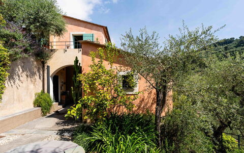 San Bartolomeo al Mare 650: Blad, Vegetationen, Busk, Arkitektur, Hjem, Have, Estate, Landscaping, Hacienda