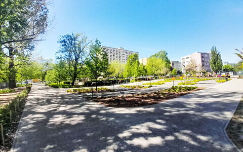 Przy Klifie: Træ, Busk, Offentlige Rum, Have, Fortov, Walkway, Parkere, Landscaping, Rådhusplads, Botanisk Have