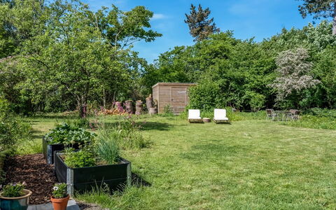 Franki - 1.8Km from the Sea: Vegetationen, Busk, Have, Land Lot, Plantesamfund, Bunddække, Lawn, Skygge, Backyard