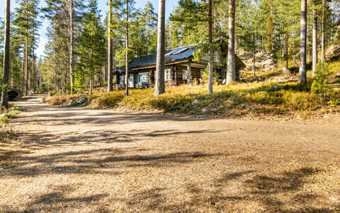 Villa Underberg: Træ, Woodland, Skov, Bagagerum, Sommerhus, Lærk, Lund, Bjælkehytte