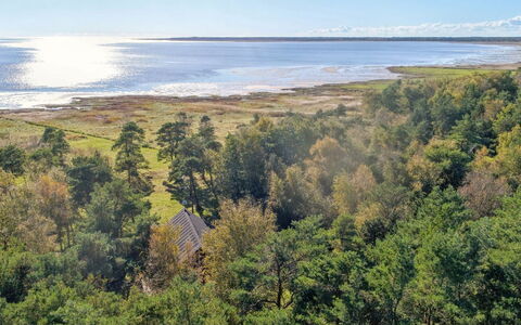 Aman - 100M from the Sea: Græs, Træ, Landdistrikt, Busk, Sommerhus, Tag, Almindeligt, Land Lot, Hjem, Bunddække