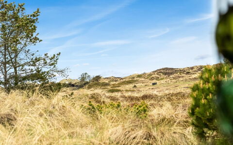 Thorgny - 1Km from the Sea: Himmel, Blå, Daytime, Grøn, Græs, Naturligt Miljø, Natur, Vegetationen, Økoregion, Naturlige Landskab