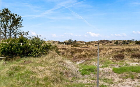 Thorgny - 1Km from the Sea: Himmel, Blå, Græs, Naturligt Miljø, Vegetationen, Græs-, Økoregion, Plantesamfund, Busk, Land Lot