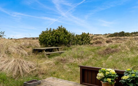Thorgny - 1Km from the Sea: Plantesamfund, Sollys, Urteagtig Plante, Have, Plantation, Landbrug, Farm