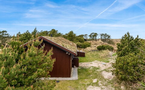Thorgny - 1Km from the Sea: Plantesamfund, Sollys, Urteagtig Plante, Have, Plantation, Landbrug, Farm